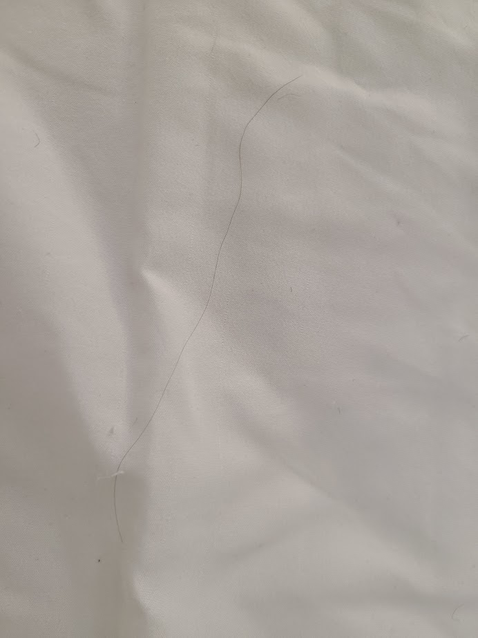 Hair on bed sheets